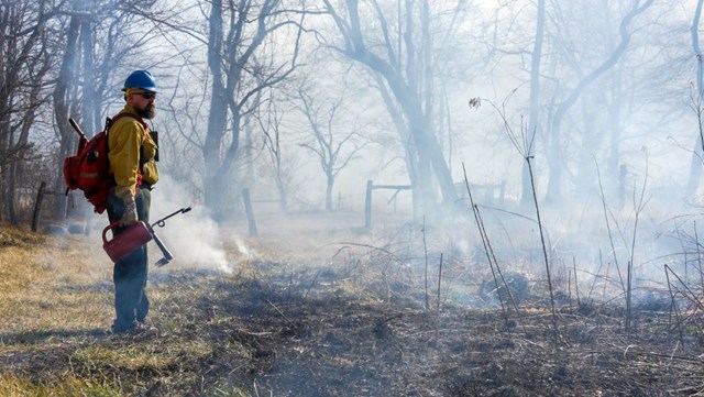 A firefighter standing with a drip torch in full PPE on a burn edge in a field.