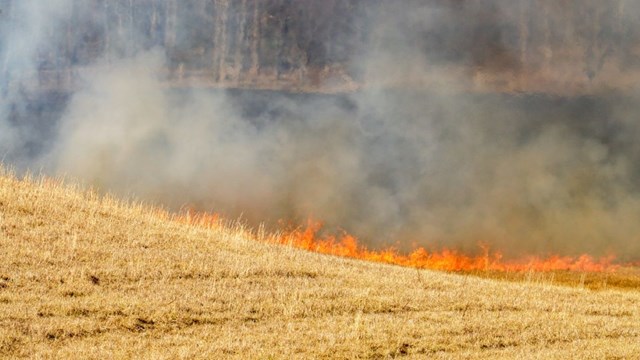A small fire burning on a fire line in a field.