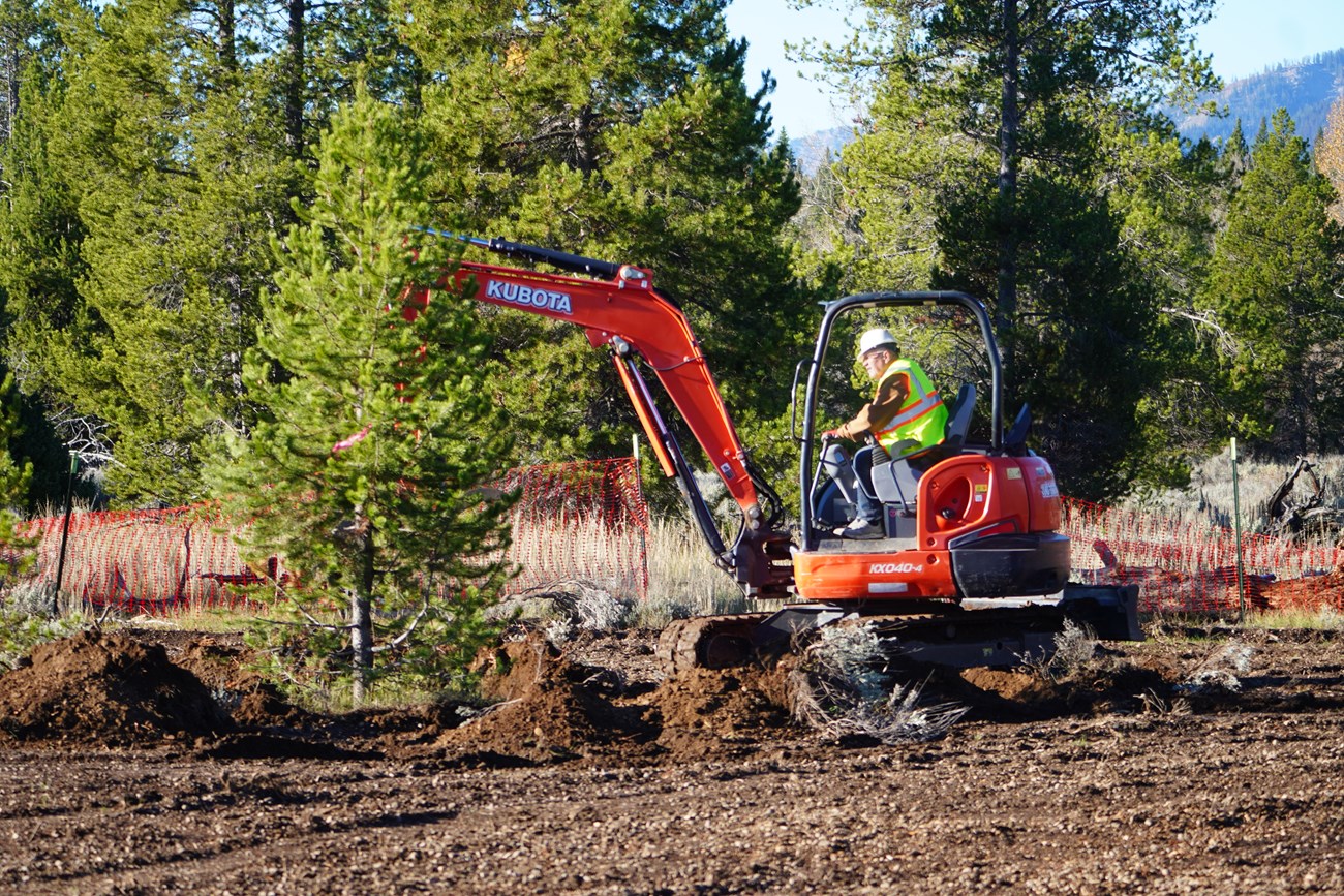 Worker uses a machine to transplant a young tree