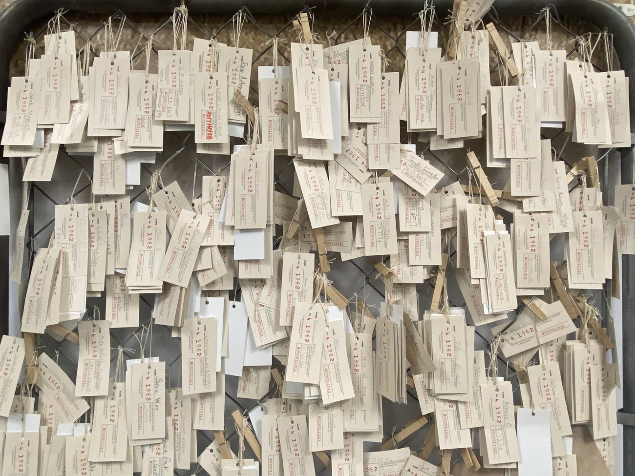Several nametags hanging on a wall