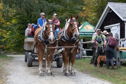 Carriage pulled by two horses, green pop tent in background with NPS arrowhead