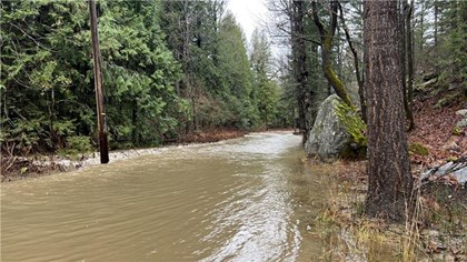 Trees, a large rock, and a power pole flank a long straight stretch of tan water.