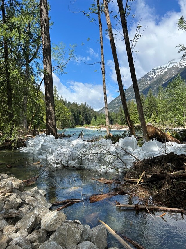 Large white sacks create a dam between two bodies of water in a forest.
