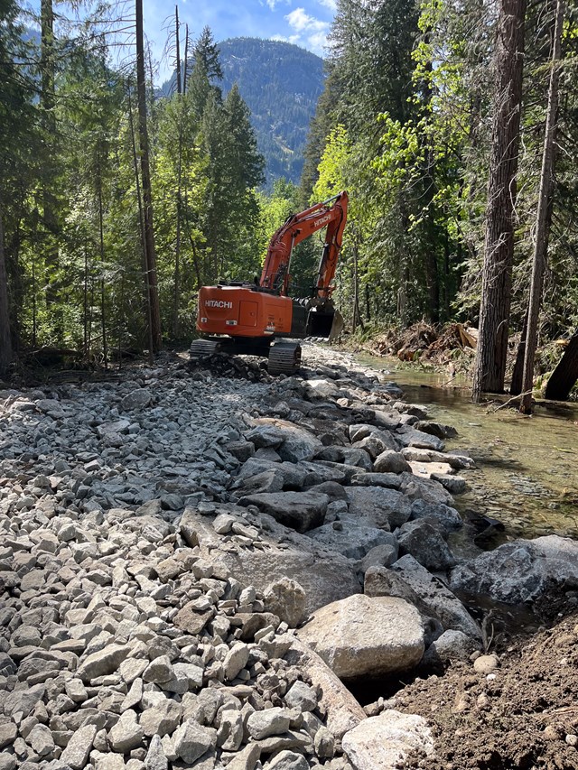 An excavator works along a stream in a forest