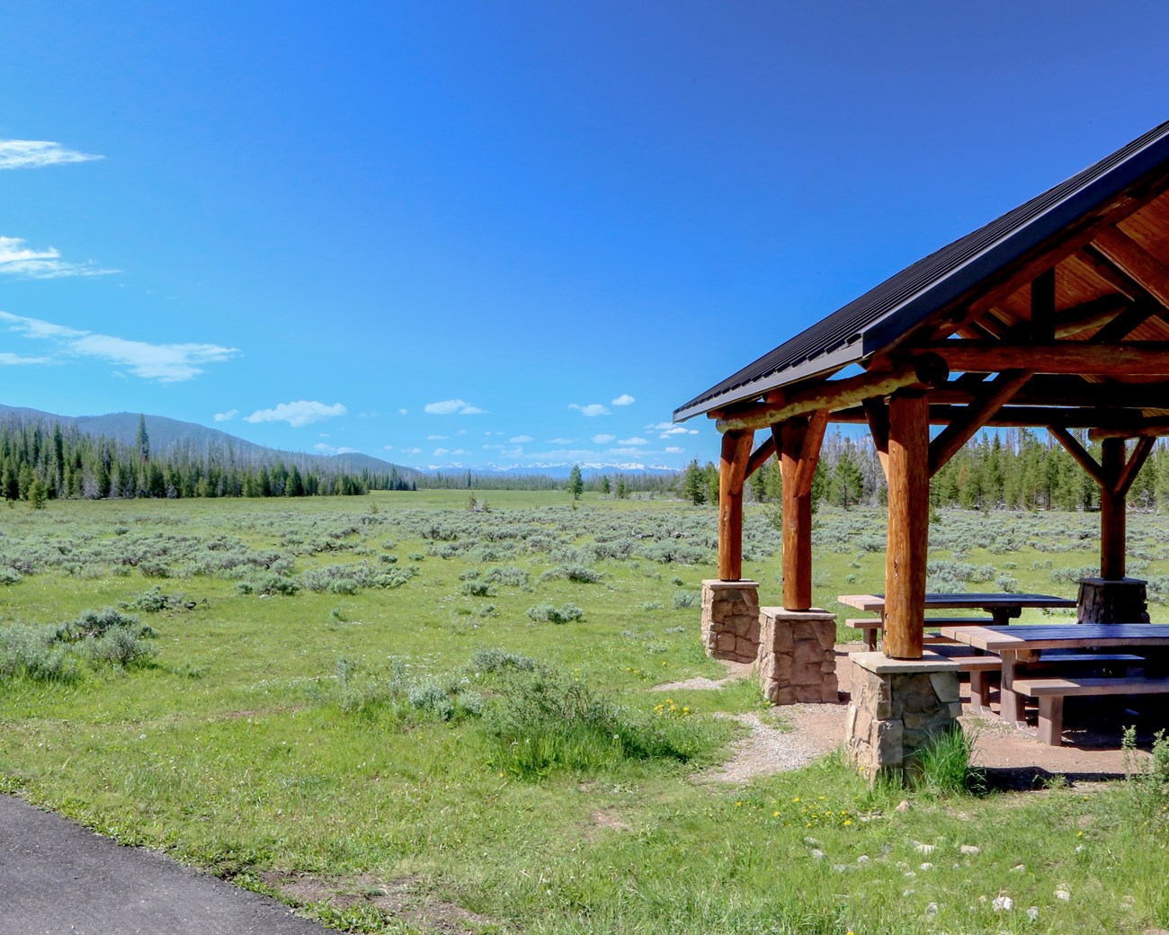 Meadow view with a picnic pavilion with tables.