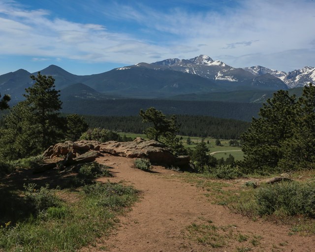 Rock outcropping amongst pine trees with mountains.