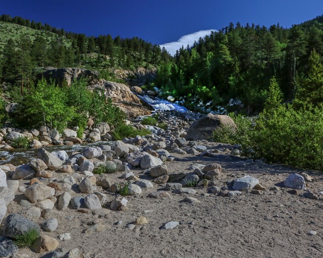 Waterfall and rocky streambed surrounded by trees.