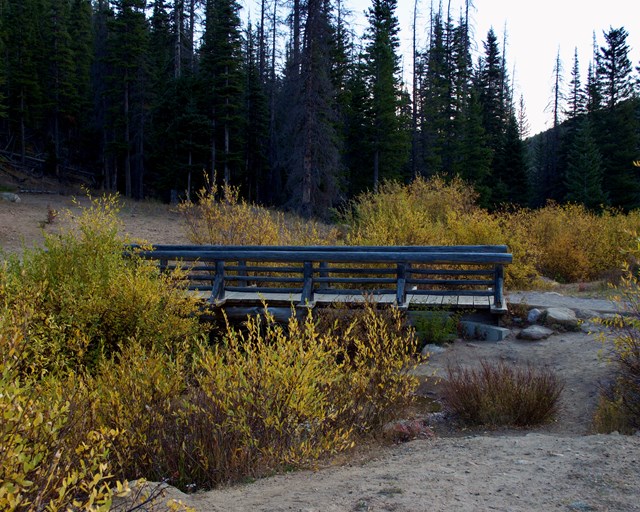 Wooden footbridge surrounded by fall willow foliage.