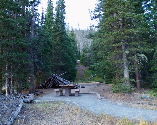 Picnic table at end of a trail surrounded by pine trees.