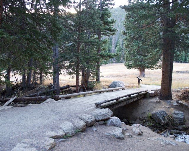 Wooden footbridge going over a stream.