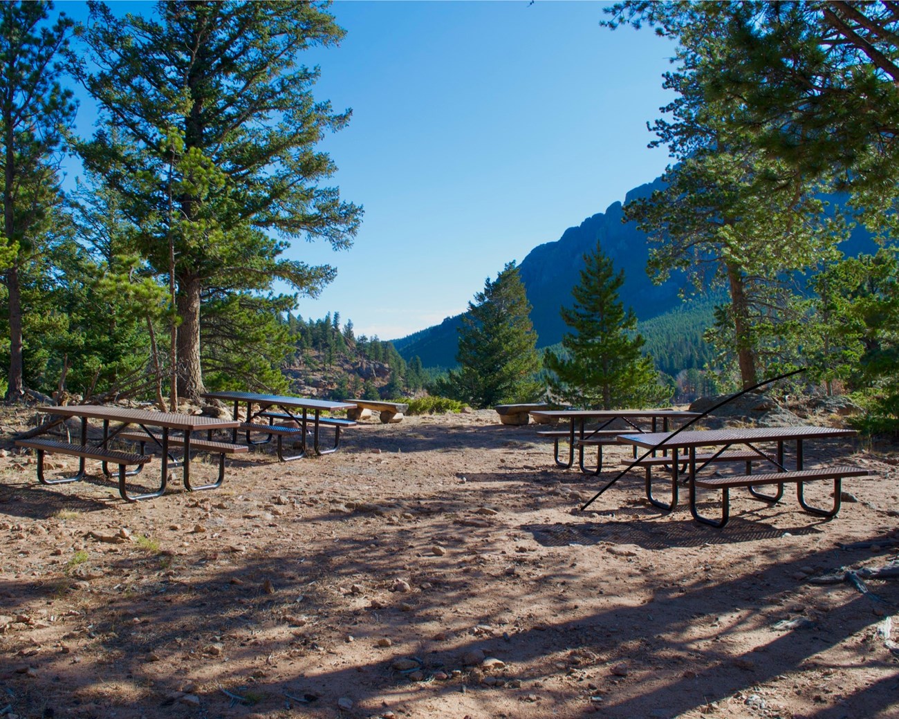 Four metal picnic tables amongst trees.