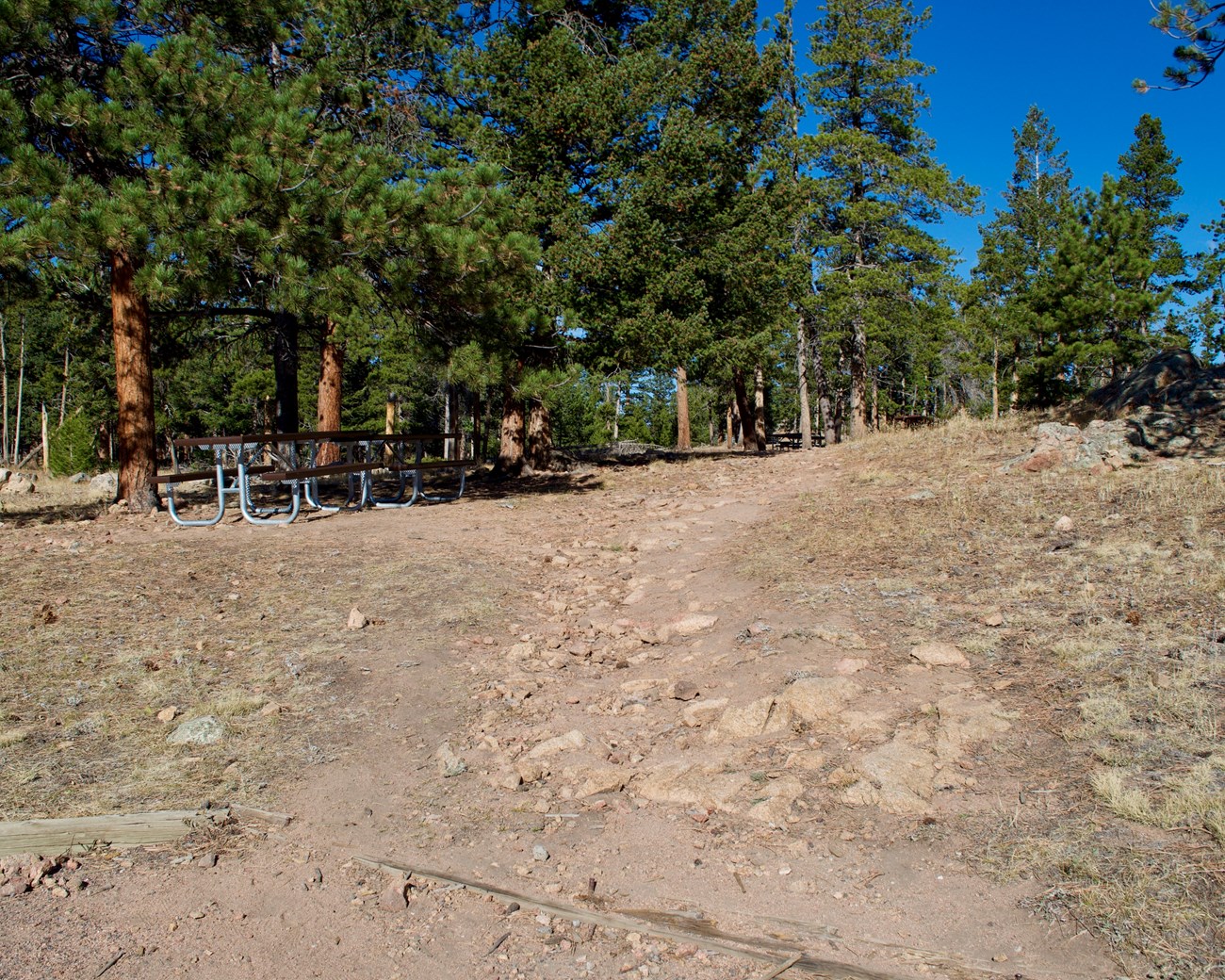 Rocky dirt path going uphill.