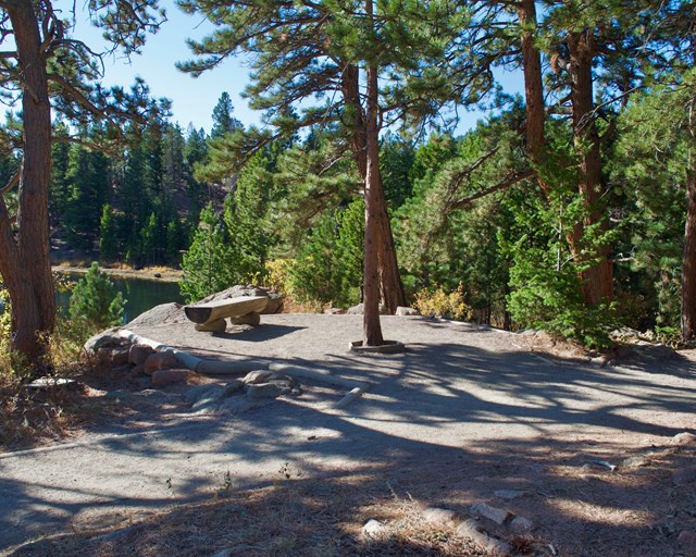 Lake overlook with bench and trees.