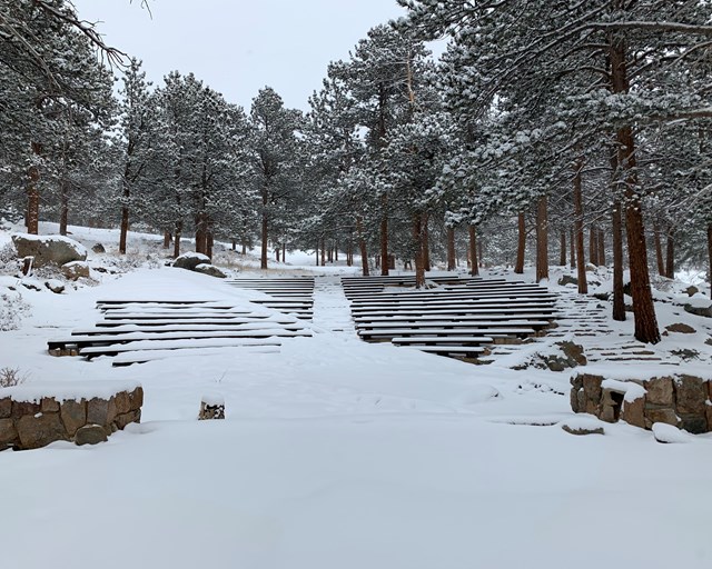 Snow covered amphitheater amongst pine trees.