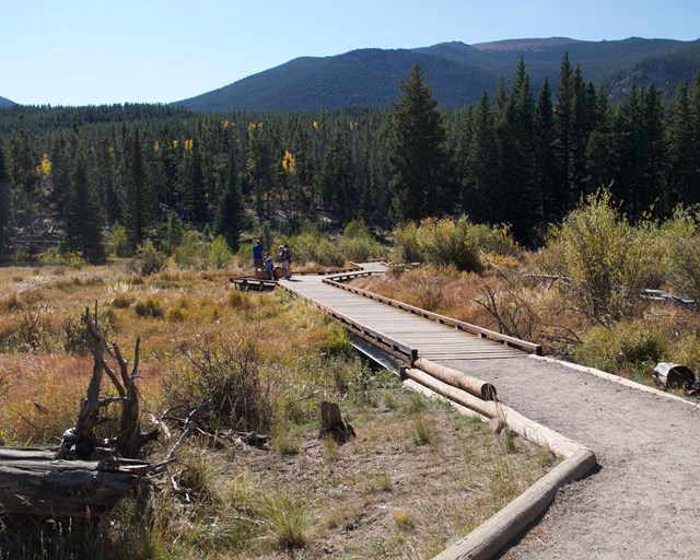 Trail leading to a boardwalk in wetlands.