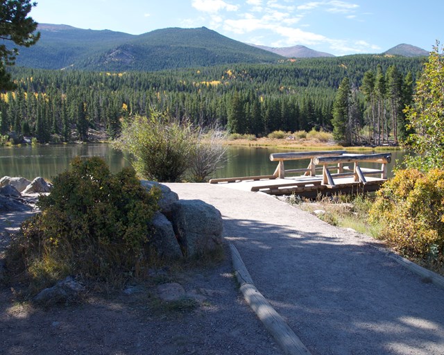 Trail leading to dock on a lake.