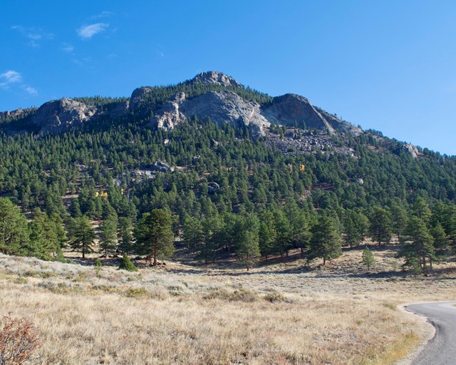 Mountain with pine trees and a partially paved road.