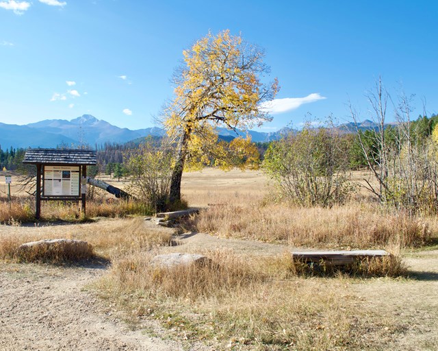 Trailhead with a bench, stream, and small footbridge.