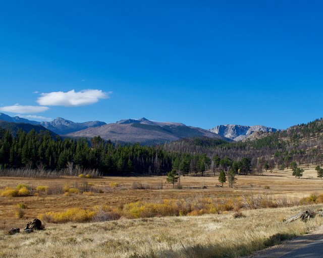 Open meadow with mountains in background.