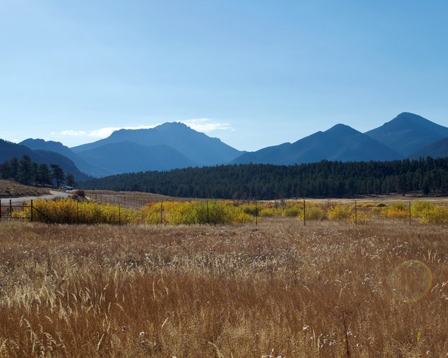 Open meadow with mountains and roadway in background.