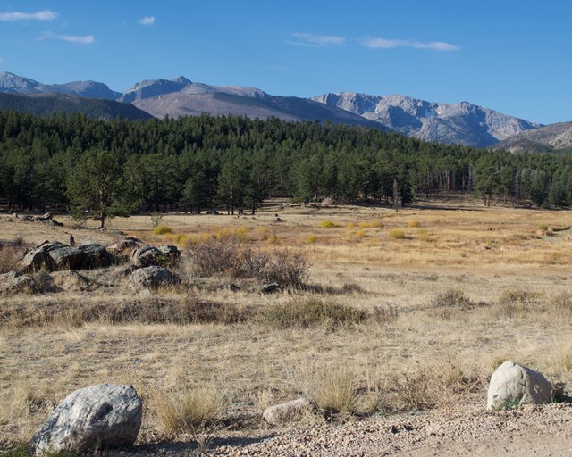 Meadow with boulders looking towards mountains.