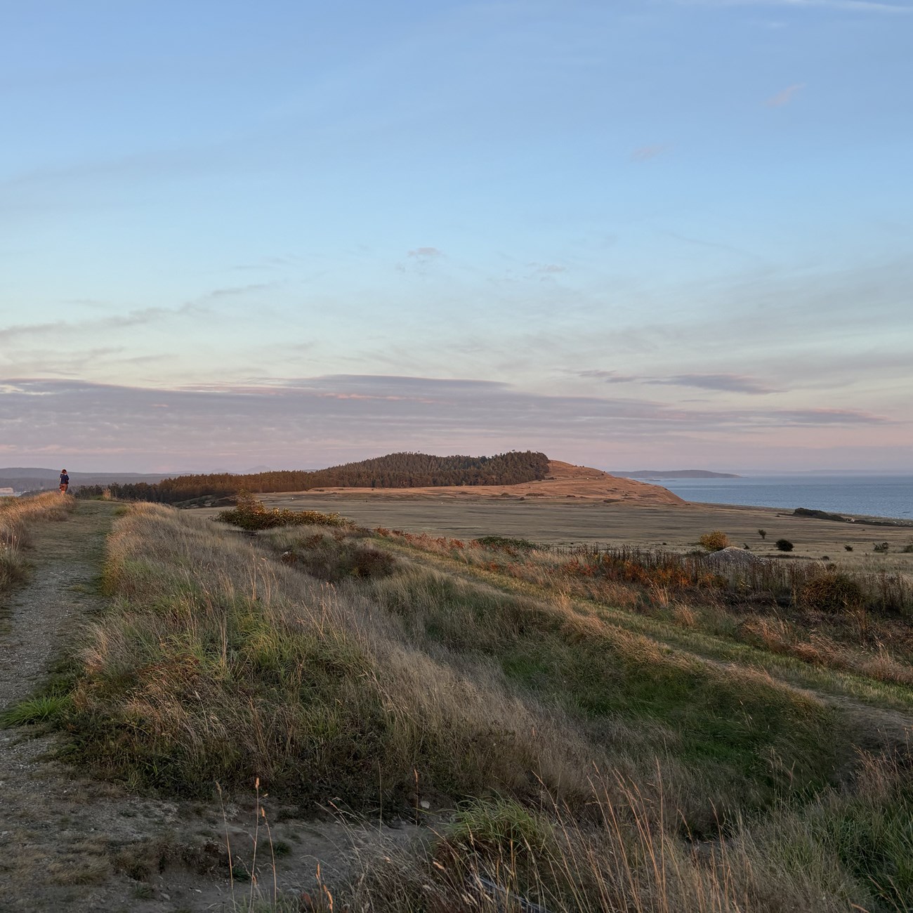 A grassy field with the ocean in the background