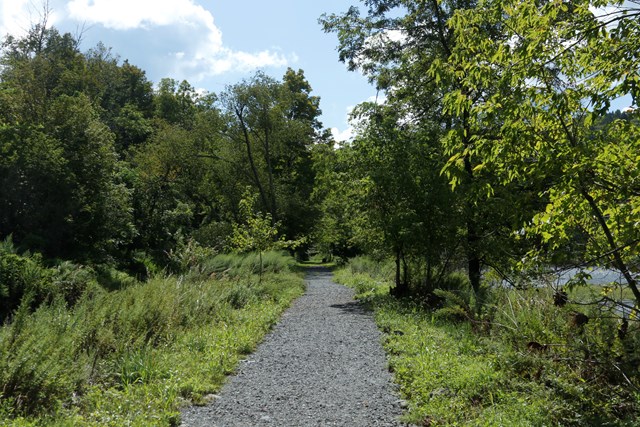 gravel path lined by green grass and leafy trees