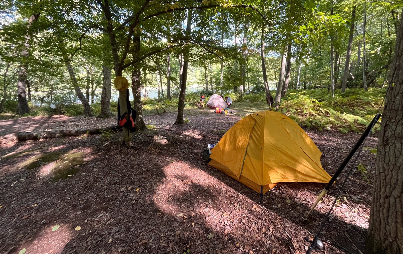 Forested camping area with view of river. Tents are scatted around camping area.