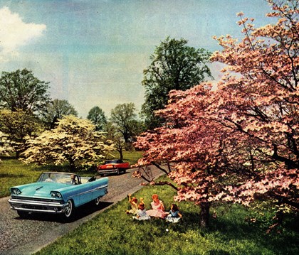 Vintage cars on road next to family sitting in the grass under a pink flowering dogwood tree