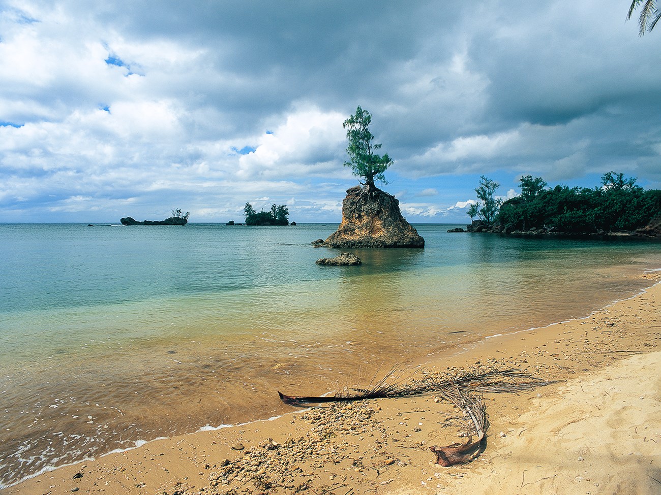 A small bay with a small island with a tree growing on it in the middle of the water.