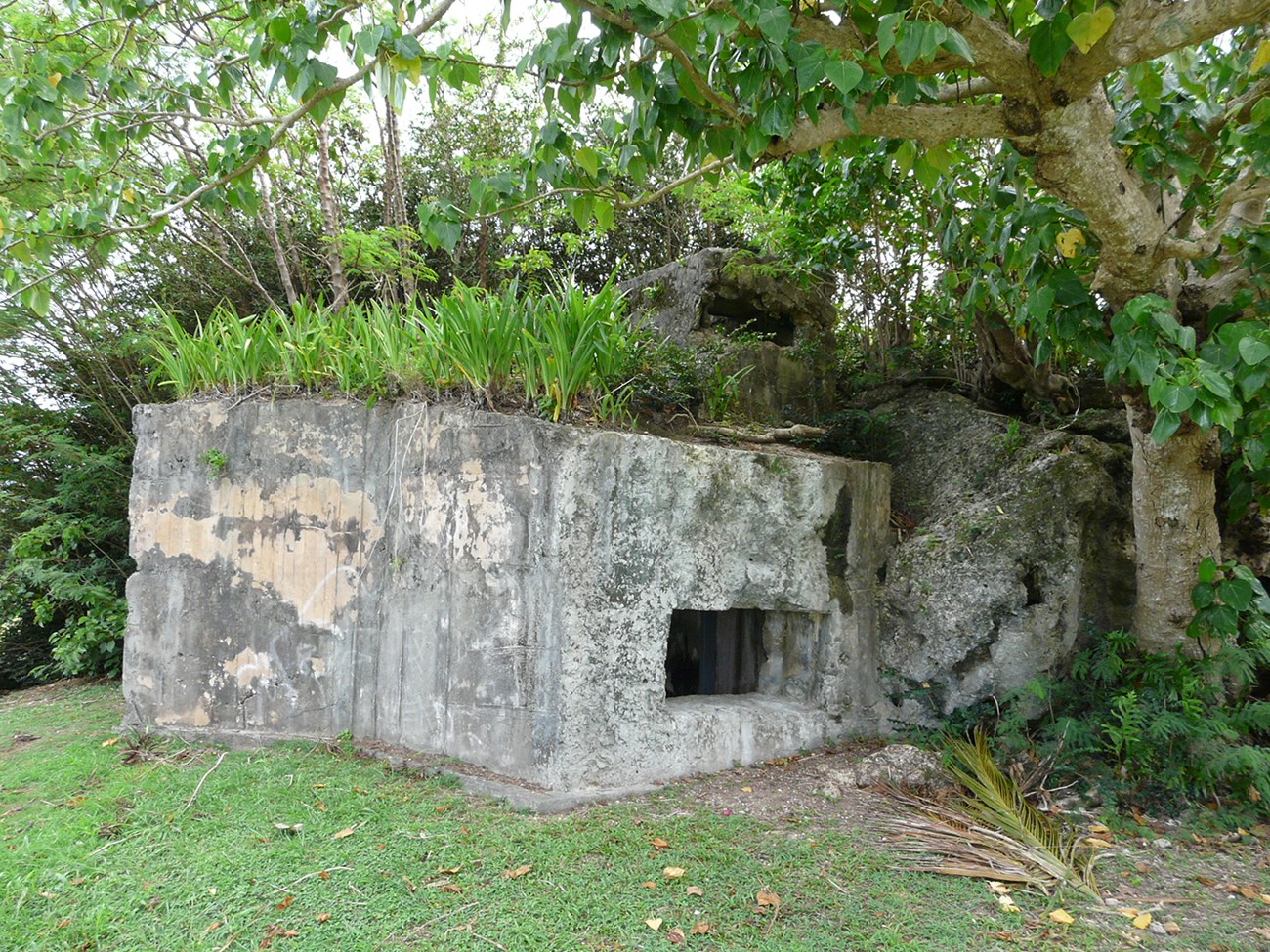 A concrete bunker with a low rectangular window build into a rock wall.