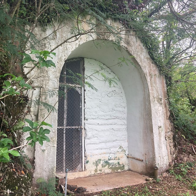 A man-made tunnel with a chain link fence covering the opening