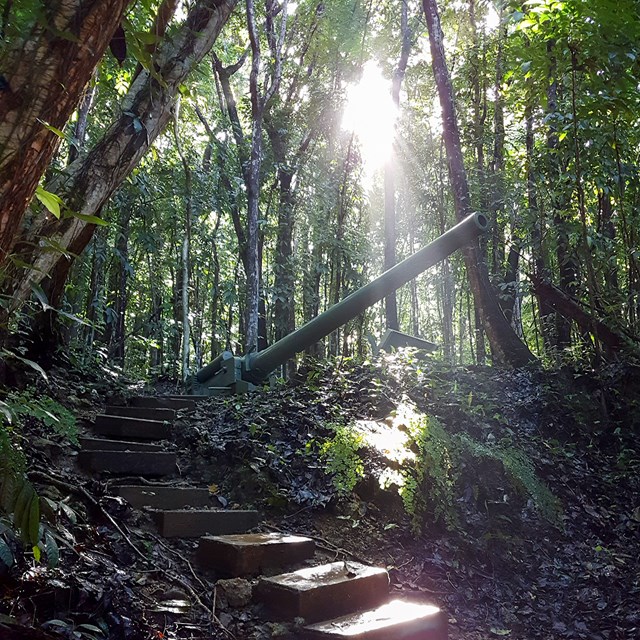 Steps leading up to a very large gun in the jungle.
