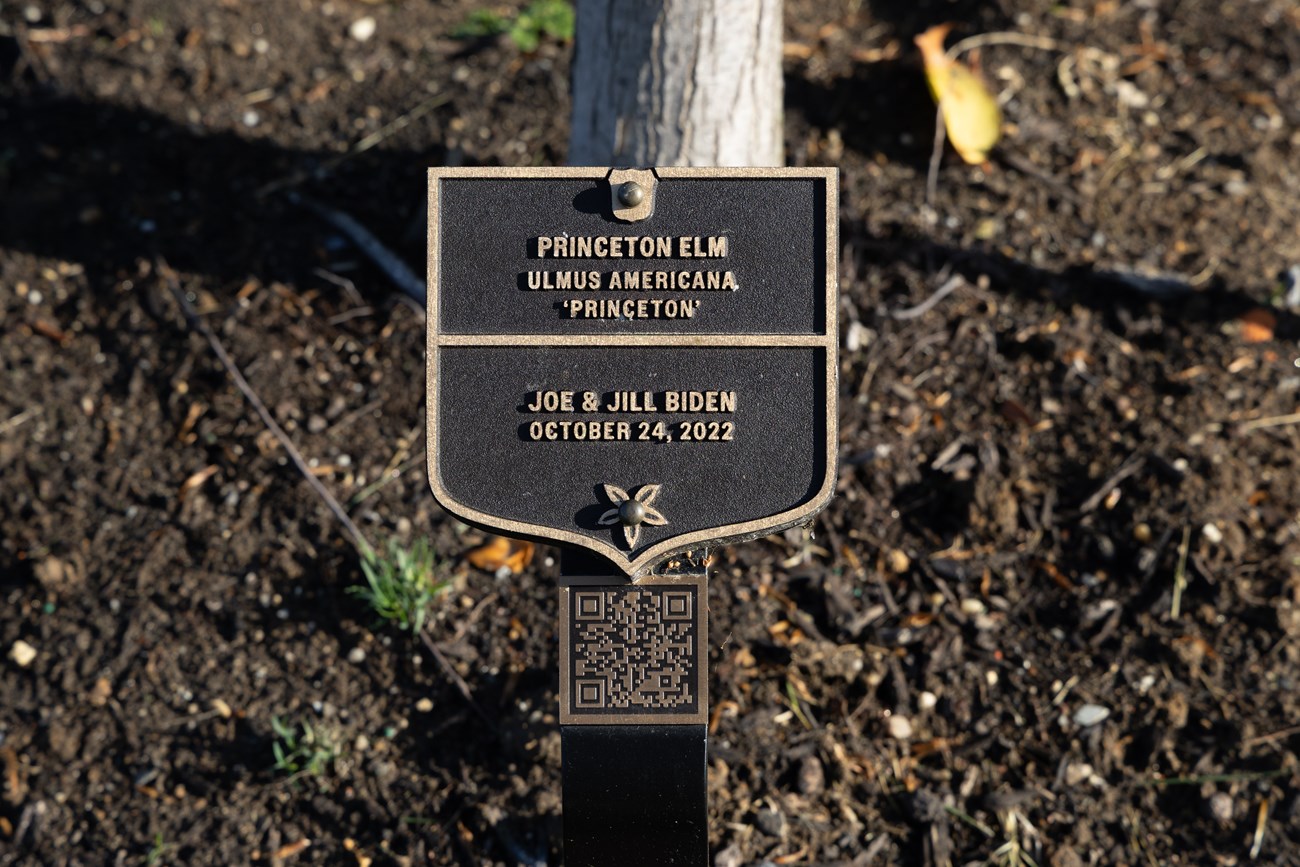 A plaque labels Princeton Elm Joe & Jill Biden, 2022.