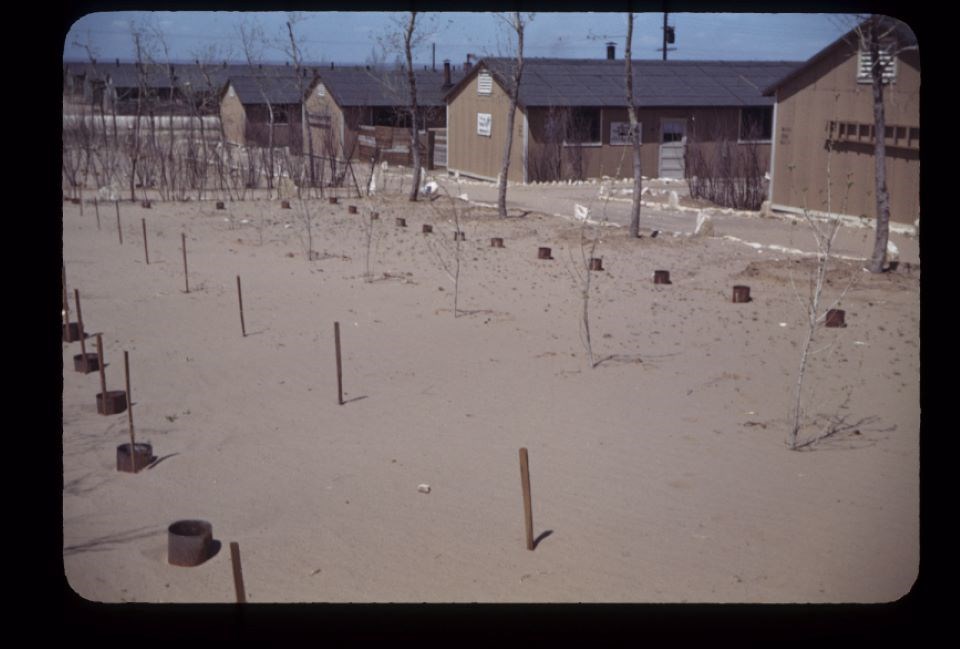 The beginnings of a garden outside a row of barracks. The soil is bare and sandy.