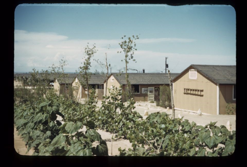 The beginnings of a garden outside a row of barracks. The soil is bare and sandy.