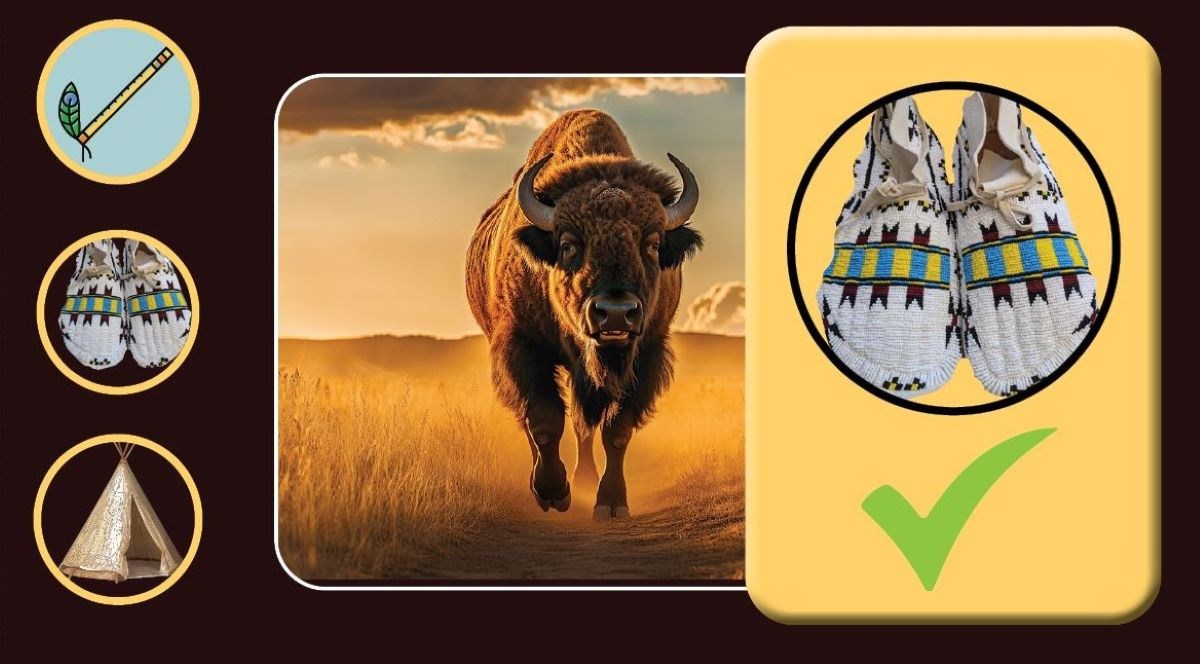 3 circular frames showing a flute, a pair of mocassins, and a tipi with a photo of a buffalo running toward viewer. On the right a pair of mocassins floats above a green checkmark.