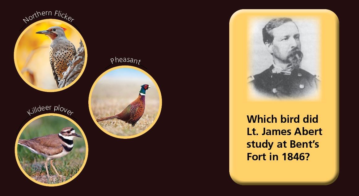 3 circular frames with a northern flicker, a pheasant, and a killdeer plover on the left and a text box with the killdeer plover floating over a green checkmark on the right.