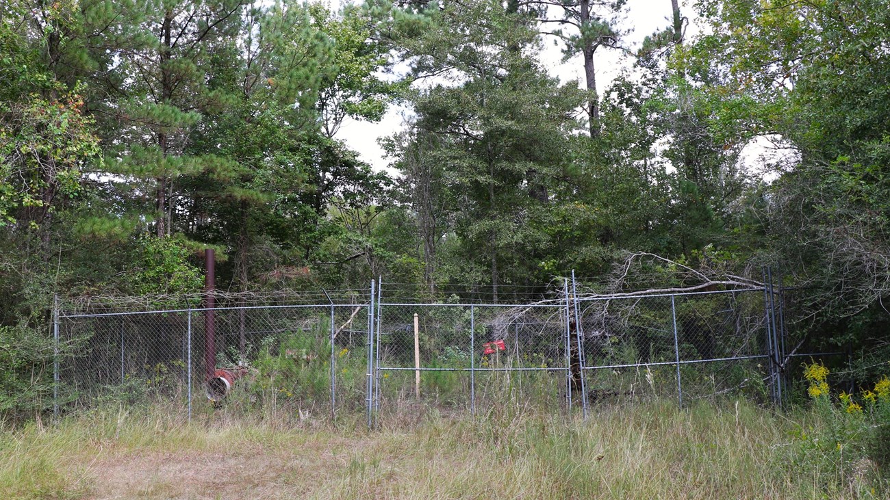 a chainlink fence in front on abandoned oil pumping equipment in an overgrown field on the edge of a forest.