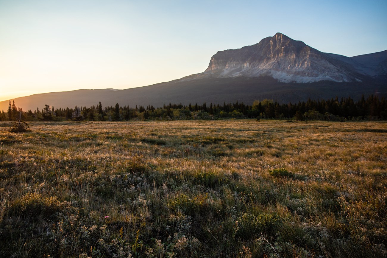 Wide open plains and hills with green and yellow grasses lead up to a wall of mountains lit by the sun setting. A camp of white tents at the end of a dirt path is seen on the left side.