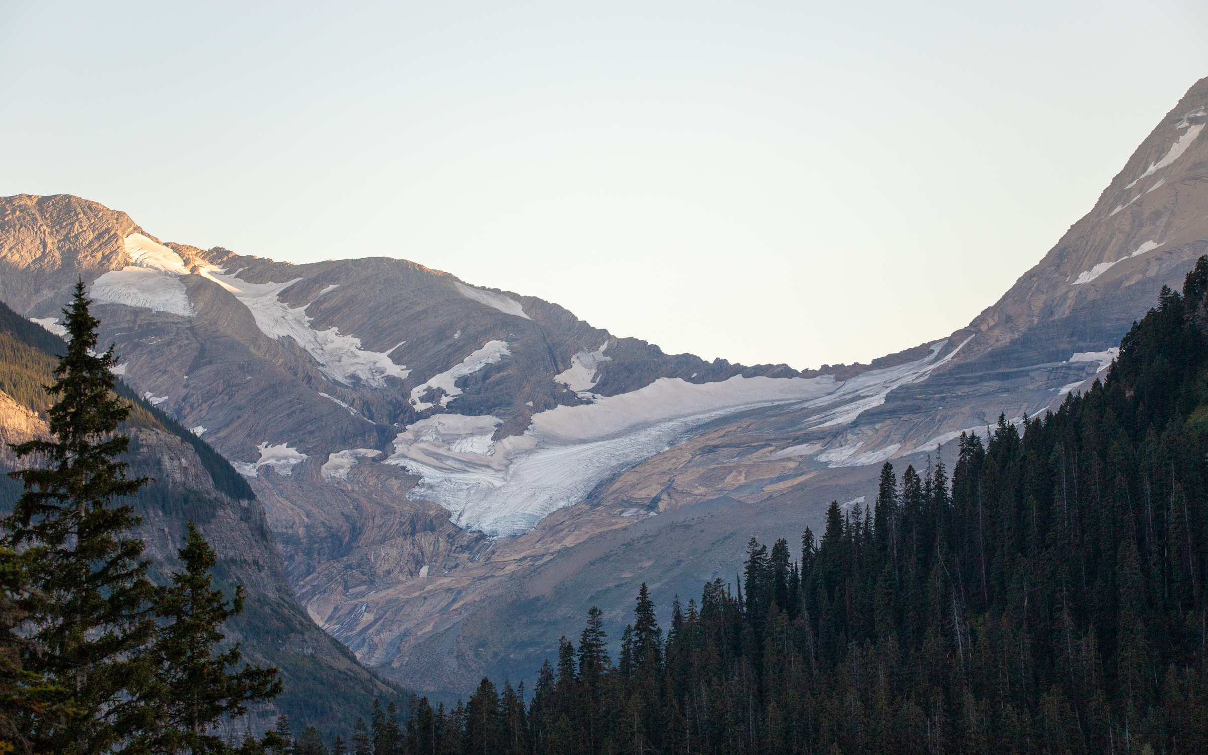 A distant landscape of a glacier with a forest in the foreground.