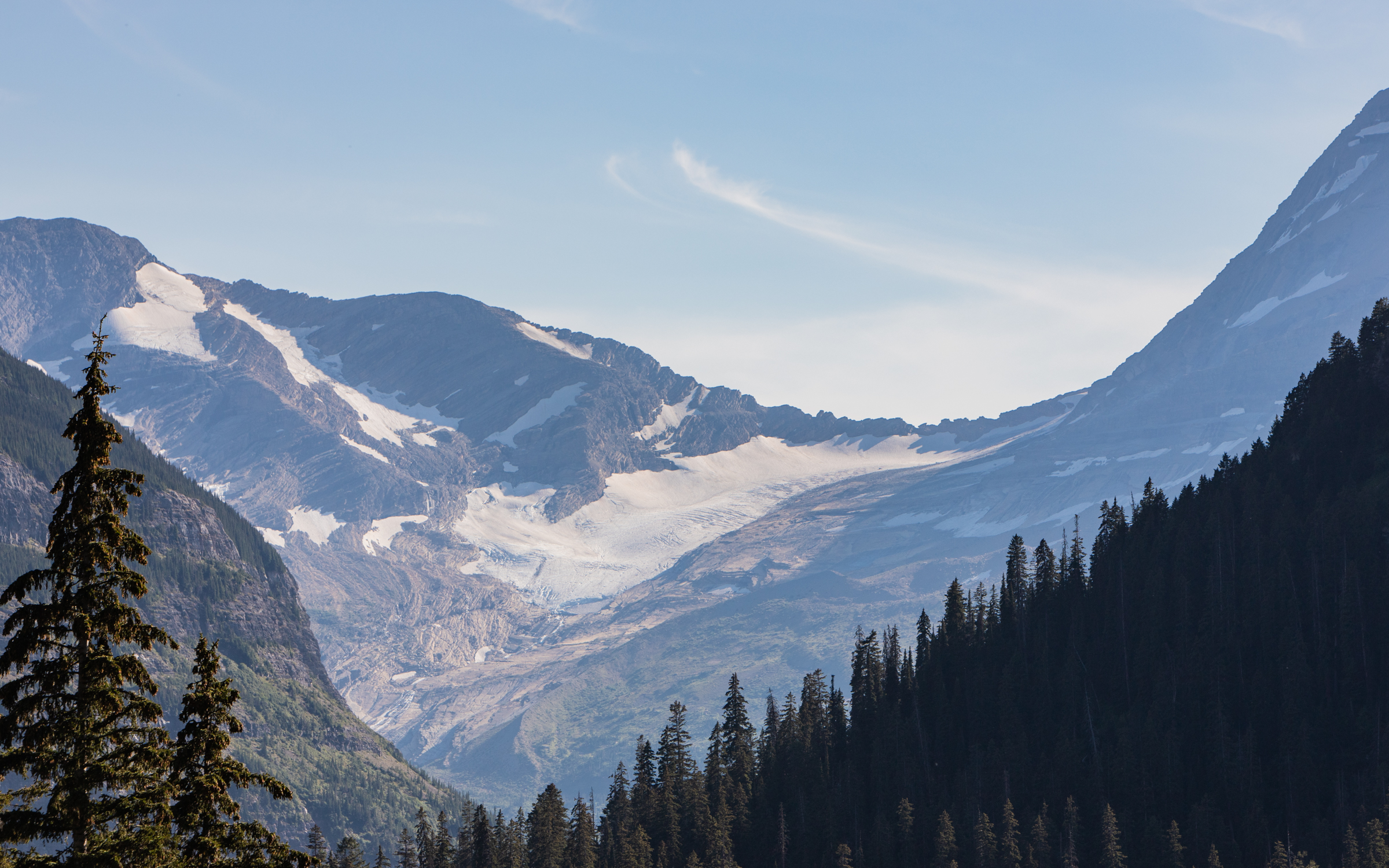 A distant landscape of a glacier with a forest in the foreground.