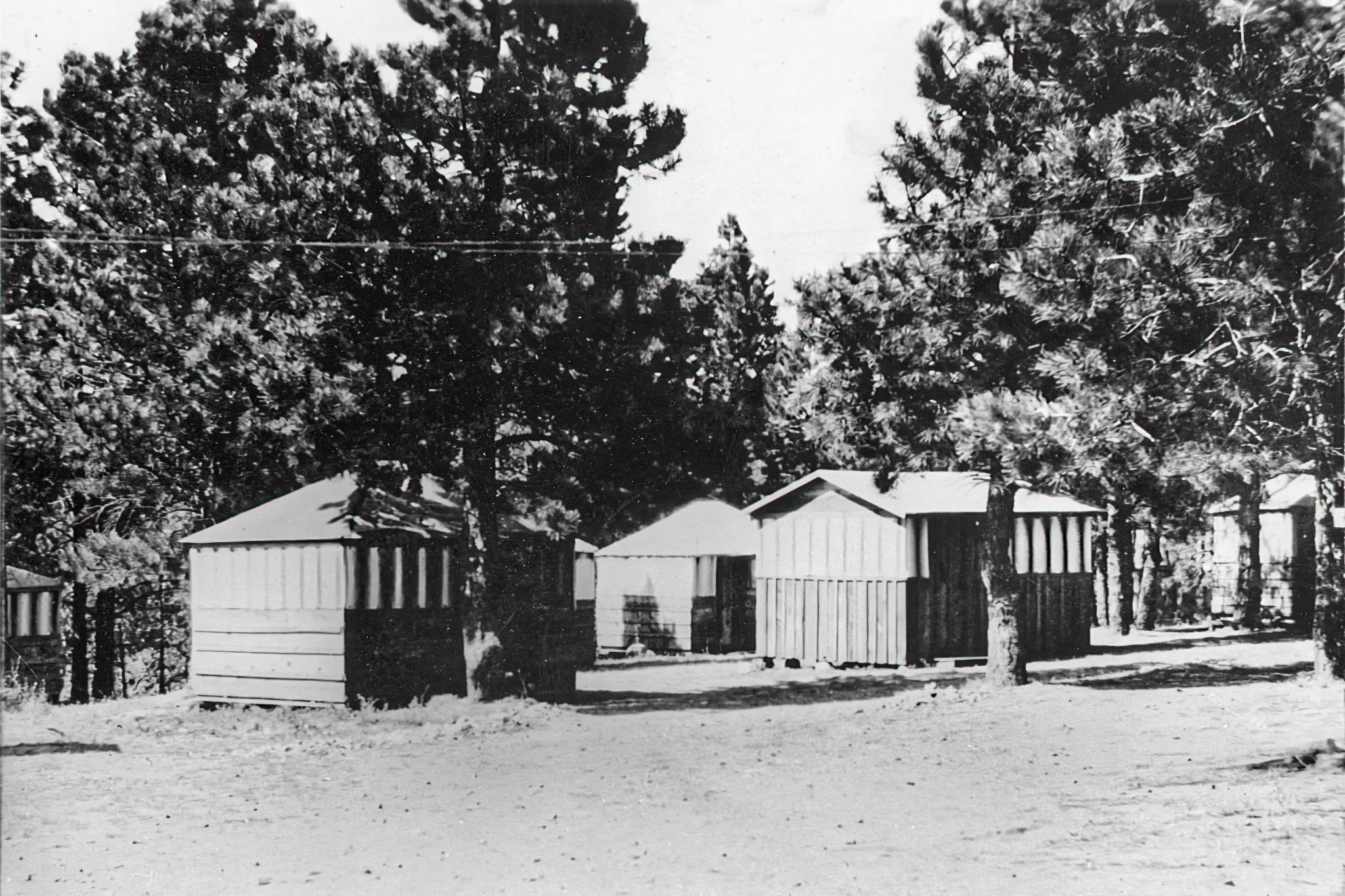 Photo of cabins among trees.