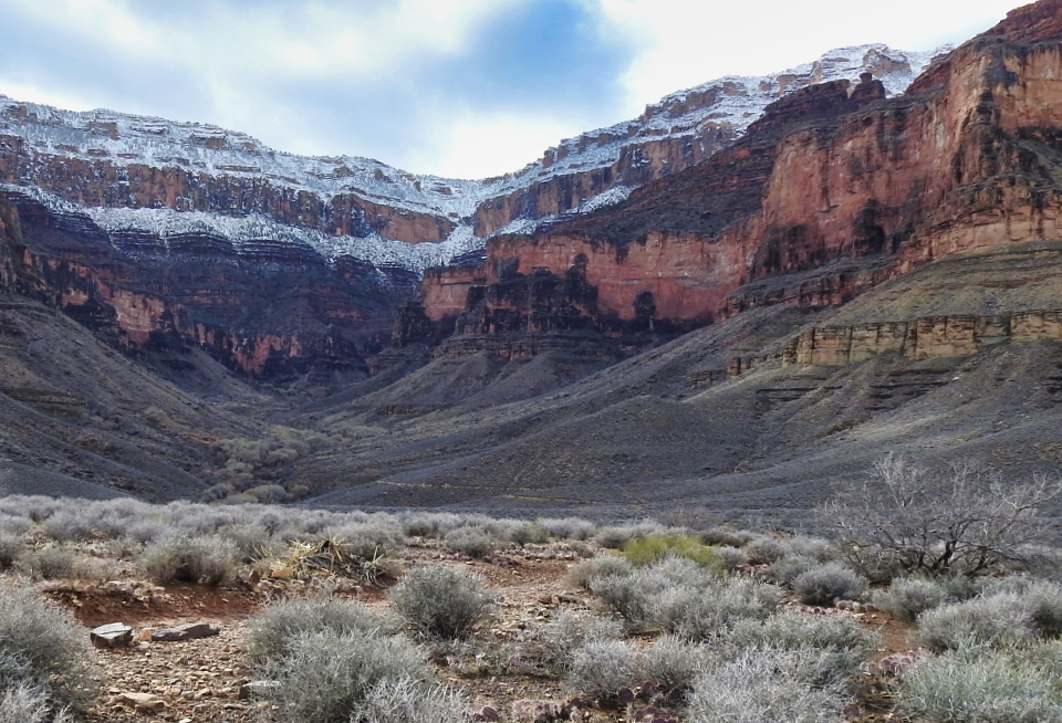 Old airplane on ground next to mules, cliffs in background