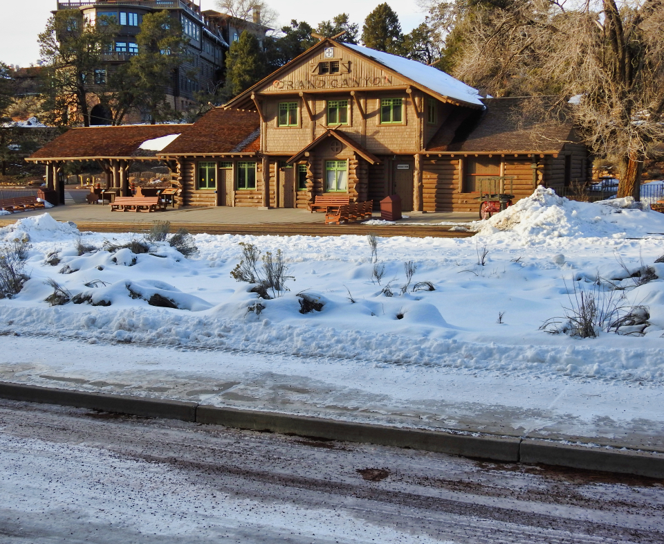 flood water surrounding trees and wooden building