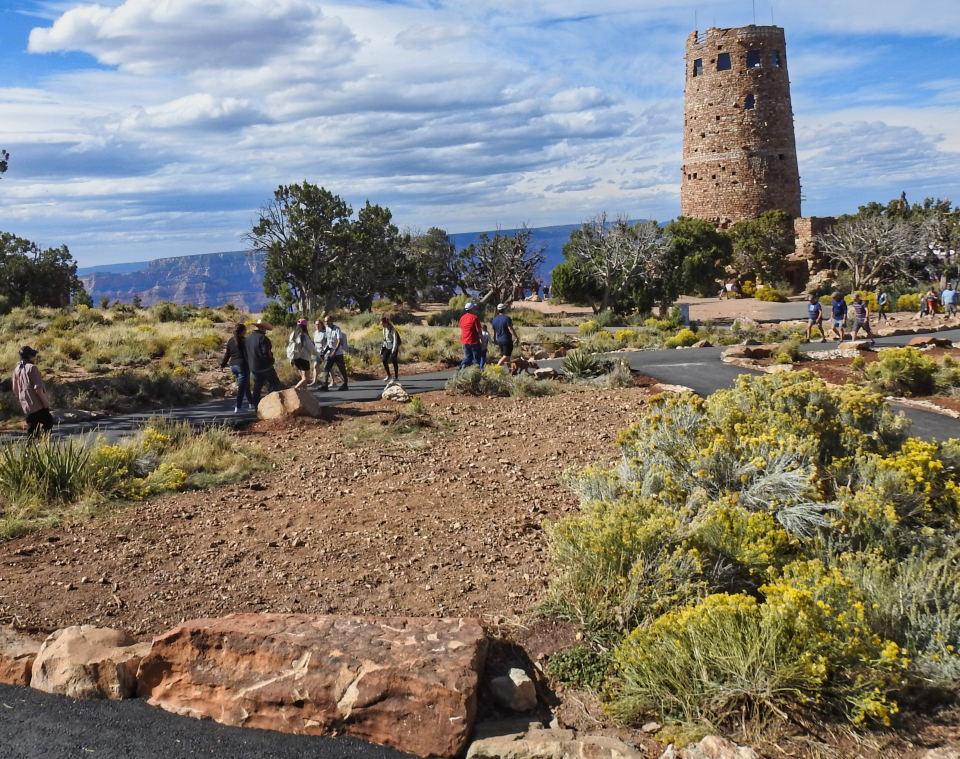 Buses and cars on road with stone tower in background