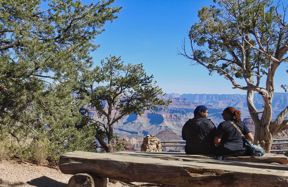 Man with easel painting with canyon and trees