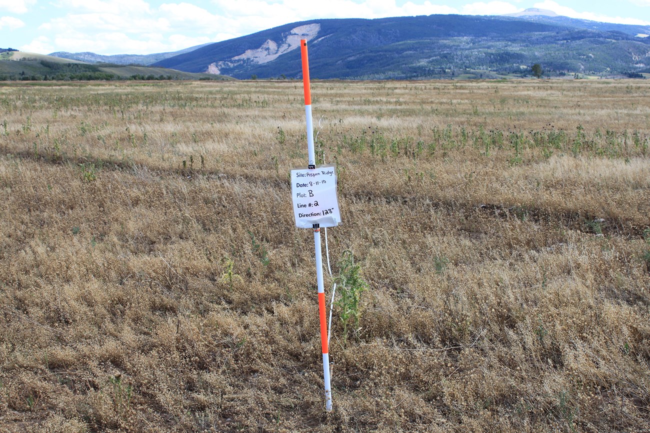 A field sparsely vegetated with short grasses and weeds. The sign on a pole describes the details of the site and the date the picture was taken: August 11th, 2010.