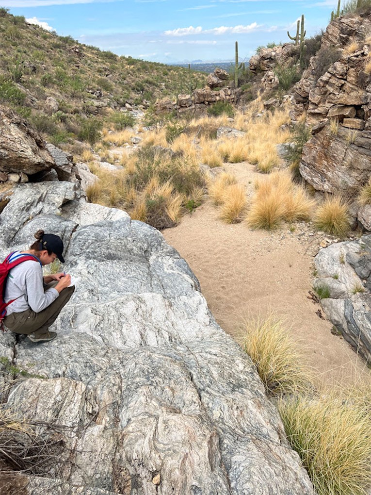 Looking downstream in a canyon with saguaros standing proud among steep rocks on the right side. In the left foreground, a young person with a red backpack kneels on a long slab of bedrock, writing in a notebook. No water in stream but lots of grasses.