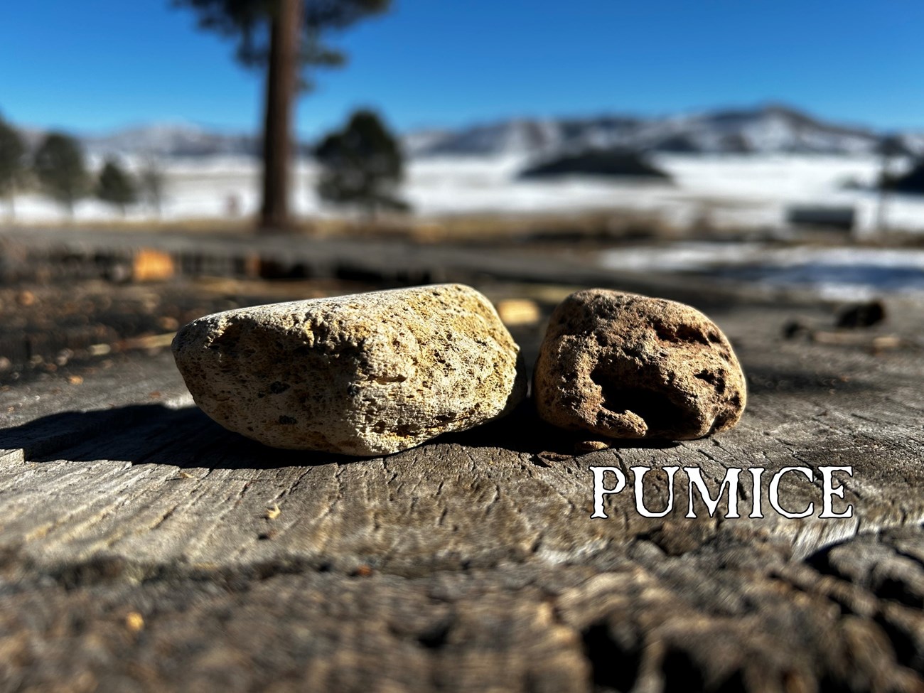 Two samples of light, porous rock resting on a stump. Text reads "pumice."